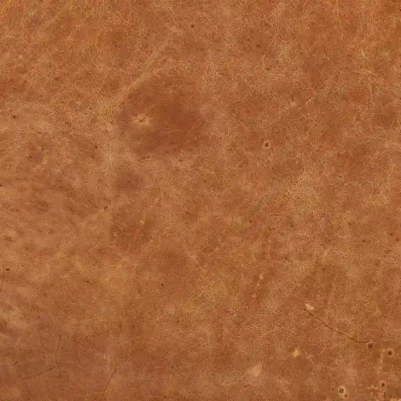 Fauteuil de salon capitonné en cuir italien avec pieds en bois massif et coussin en plumes